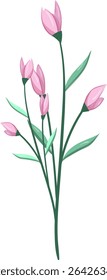 Pink Flower Bush, Fresh and beautiful