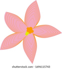 Pink flower with colored lines on the petals.