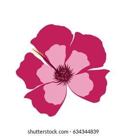 pink flower decoration floral ornament