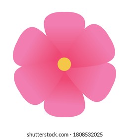 pink flower design, natural floral nature plant ornament garden decoration and botany theme Vector illustration