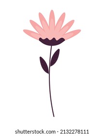 diseño de flores rosadas sobre blanco