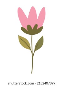 pink flower design over white