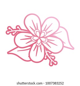 pink flower design  vector illustration
