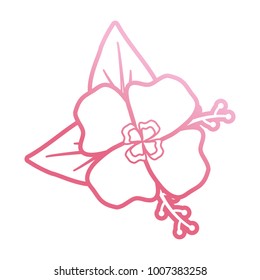 pink flower design  vector illustration