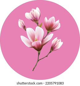 pink flower design vector illustration