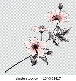 Pink flower drawing vector illustrations. Botanical floral hand drawn element.