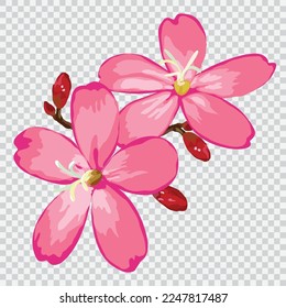 Pink flower drawing vector illustrations. Botanical floral hand drawn element.