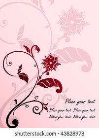 Pink flower  Floral background