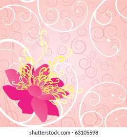 Pink flower floral background
