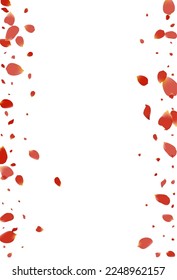 Pink Flower Flying Vector White Background. Japan Sakura Banner. Delicate Floral Japanese Cover. Red Lotus Fall Illustration.