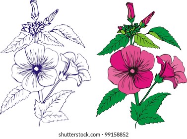 pink flower, garden