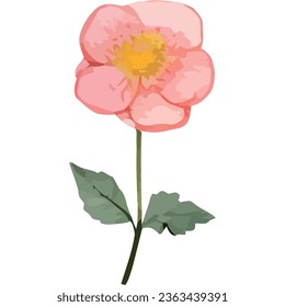 pink flower garden with leaves isolated