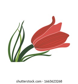 pink flower with green grass element on a white background line illustration vector
