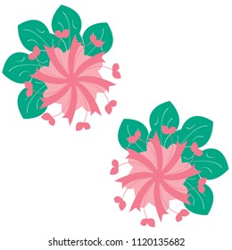 Pink flower and green leaf vector with white background. Vector floral template.