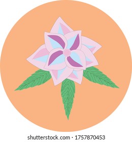 
pink flower with green leaves on an orange background