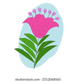 Pink flower, green leaves, single flower, blue background, vector. pink flower isolated on white
