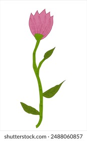 Pink flower with green vector watercolor leaves drawn in cartoon style. The flower is the main element of the image and is a single stem with a single flower. The painting style gives the flower a whi