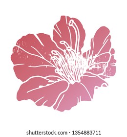 Pink flower hand drawn vector illustration. Floral background. Hand drawn vector botanical illustration. Template greeting card, wedding invitation banner. Sketch linear pink gradient garden flower.