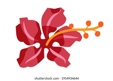 Pink flower, Hawaii aloha tropical summer plant. Hawaiian beach vintage exotic travel poster element vector illustration. Red hibiscus decoration isolated on white background.