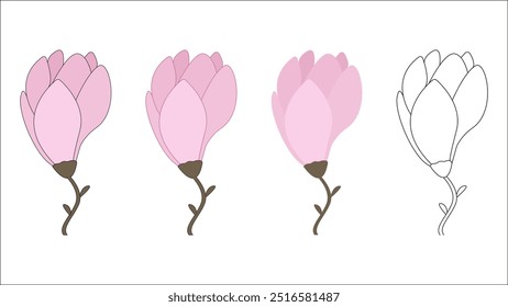 A pink flower illustration. A pink flower in different styles. An isolated pink flower.