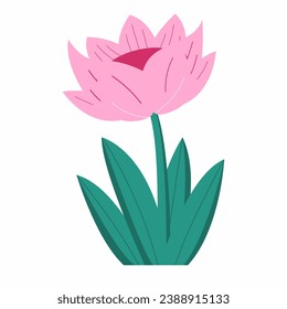 ilustración de flor rosa. ilustración de una flor. conjunto de ilustraciones vectoriales de flores. vector flor rosa.