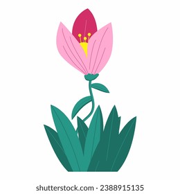 ilustración de flor rosa. ilustración de una flor. conjunto de ilustraciones vectoriales de flores. vector flor rosa.