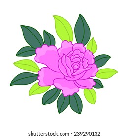 pink flower isolated illustration on white background