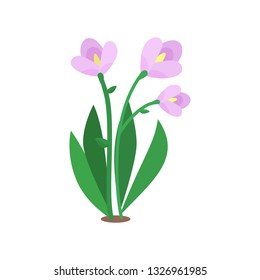 Pink flower. Isolated vector illustration
