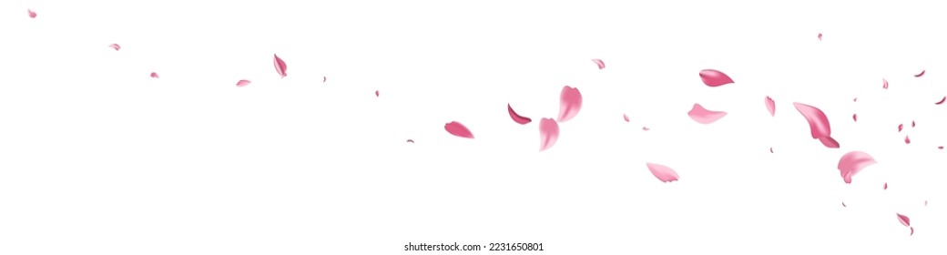 Pink Flower Japan Vector White Panoramic Background. Spring Petal Illustration. Delicate Blossom Tender Banner. Red Cherry Fall Backdrop.