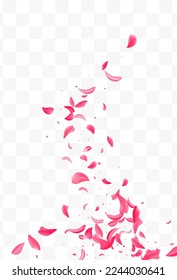 Pink Flower Japanese Vector Transparent Background. Fly Petal Template. Delicate Blossom Tender Texture. Beautiful Cherry Japan Pattern.