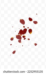 Pink Flower Japanese Vector Transparent Background. Tender Cherry Illustration. Burgundy Rose Falling Banner. Delicate Peach Blur Design.