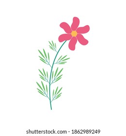 pink flower and leafs in branch flat element vector illustration design