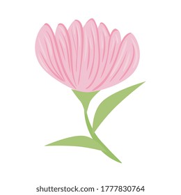 pink flower with leaves design, natural floral nature plant ornament garden decoration and botany theme Vector illustration