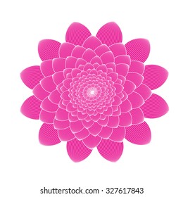 pink flower line . Vector abstract floral background