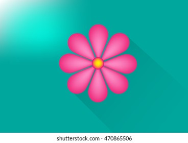 Pink flower with long shadow