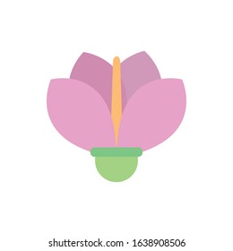 pink flower natural floral botanical on white background vector illustration