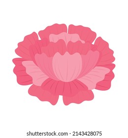 pink flower nature icon flat