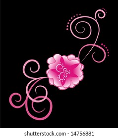 pink flower on black background