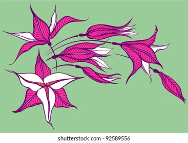 pink flower on green background