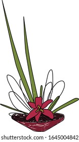 The pink flower on the white background