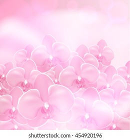 Pink flower orchid background. EPS10 vector.