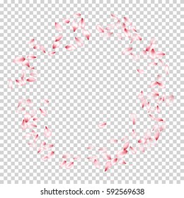 Pink Flower Petal Confetti Round Frame Vector. Floral isolated pattern on transparency white and grey grid background. Spring blossom elements, cherry bloom parts circle. 