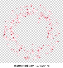 Pink Flower Petal Confetti Round Vector Border. Floral isolated pattern on transparency white and grey grid background. Spring blossom elements frame, cherry bloom parts circle, ring.
