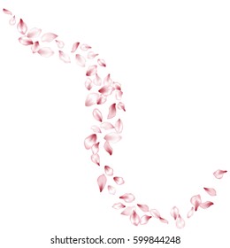 Pink Flower Petal Confetti Vector Curl. Floral pattern on white background. Spring blossom isolated elements. Cherry bloom parts. 