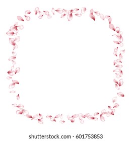 Pink Flower Petal Confetti Vector Square Frame on White Background. Spring blossom isolated elements border. 