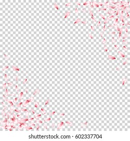 Pink Flower Petal Confetti Vector Corners. Floral isolated pattern on transparency grid background. Spring blossom elements frame. 