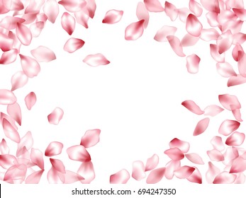 Pink Flower Petal Confetti Vector. Floral pattern on white background. Spring blossom petals isolated elements. Cherry bloom flower parts square frame, card boundary, blooming edging.