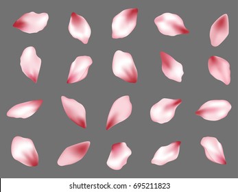 Pink Flower Petal Confetti Vector Rectangular Frame on Transparent Background white and grey grid. Spring blossom petals flying isolated elements border. Can be used for wedding invitation template