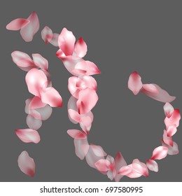 Pink Flower Petal Confetti Vector Curl. Floral pattern on gray background. Spring blossom petals isolated decor elements. Cherry bloom flower parts. 
