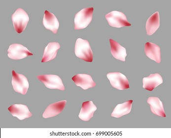 Pink Flower Petal Confetti Vector Rectangular Frame on Transparent Background white and grey grid. Spring blossom petals flying isolated elements border. Can be used for wedding invitation template.